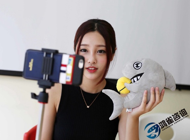 文網文經營許可證代辦多少錢