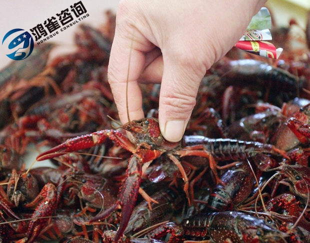 食品經(jīng)營許可證和食品流通許可證